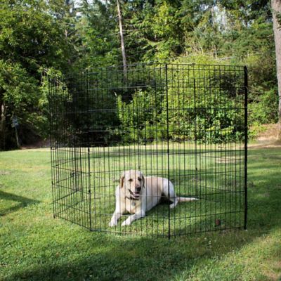 Image showing  Outdoor Pet Exercise Pen with Stakes, 48 in.