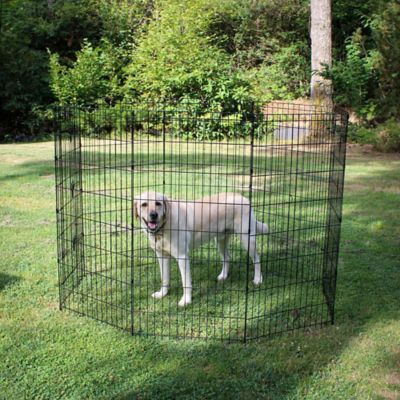 Image showing 7 th Lucky Dog Outdoor Pet Exercise Pen with Stakes, 48 in.