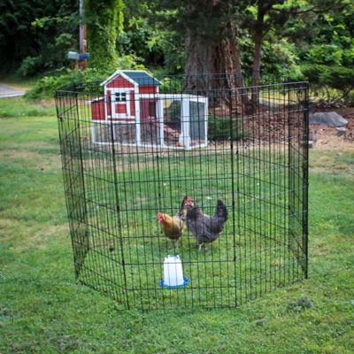 Image showing 8 th Lucky Dog Outdoor Pet Exercise Pen with Stakes, 48 in.