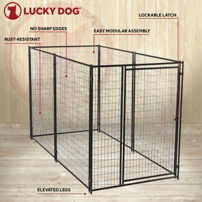 Image showing  6 ft. x 5 ft. x 10 ft. Modular Welded Wire Dog Kennel, Black