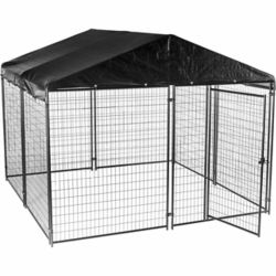 Outside dog kennels tractor supply best sale