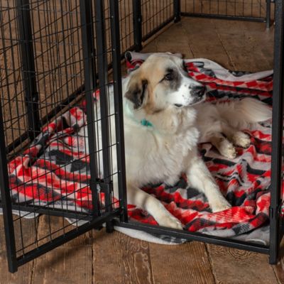 Image showing  6 ft. x 10 ft. x 10 ft. Modular Welded Wire Dog Kennel, Black