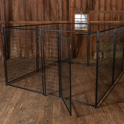 Image showing 7 th Lucky Dog 6 ft. x 10 ft. x 10 ft. Modular Welded Wire Dog Kennel, Black