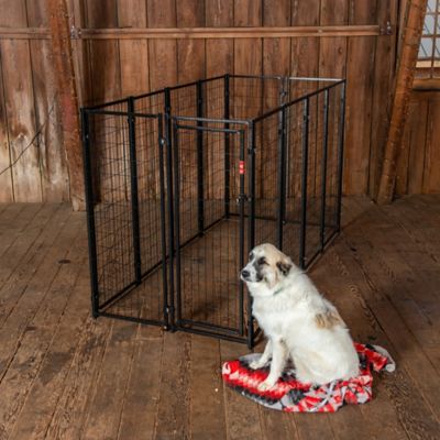 Image showing  6 ft. x 5 ft. x 10 ft. European Style Welded Wire Dog Kennel