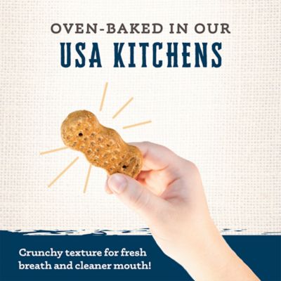 Image showing  Gourmet Rewards Peanutty Bites Biscuit Dog Treats