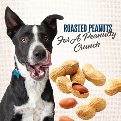 Image showing  Gourmet Rewards Peanutty Bites Biscuit Dog Treats