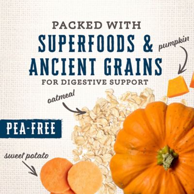 Image showing 5 th Wholesomes Gourmet Rewards Peanutty Bites Biscuit Dog Treats