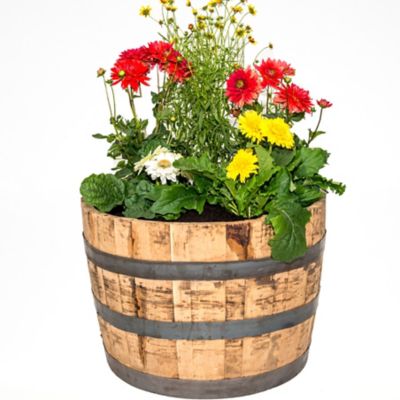 Solid Half oak wine Whisky barrel planters Garden Patio Lawn Tub Flower Pot Pond