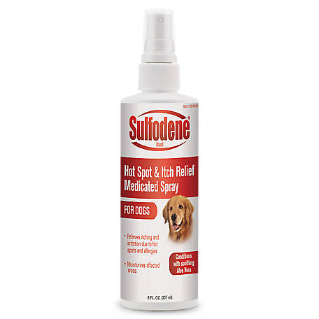 baby shampoo for dogs hot spots