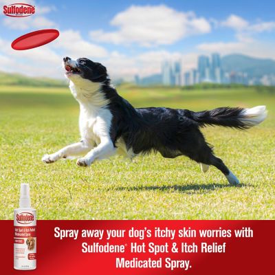 Image showing  Medicated Hot Spot and Itch Relief Spray for Dogs, 0.58 lb.