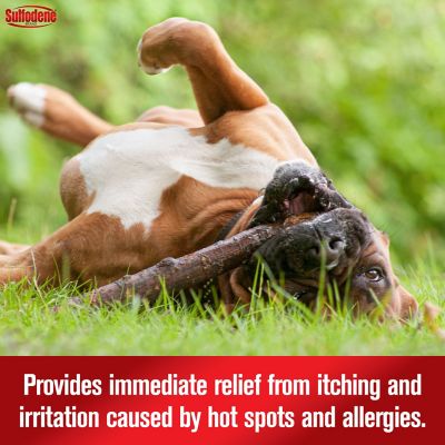 Image showing  Medicated Hot Spot and Itch Relief Spray for Dogs, 0.58 lb.