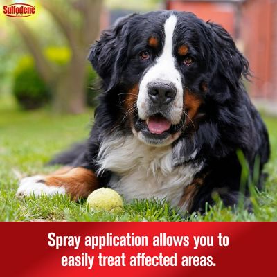 Image showing  Medicated Hot Spot and Itch Relief Spray for Dogs, 0.58 lb.