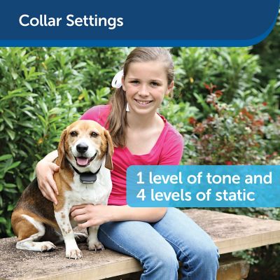 Image showing  1/3 Acre Rechargeable In-Ground Fence for Dogs and Cats