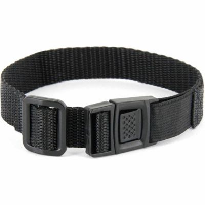 petsafe cat collar