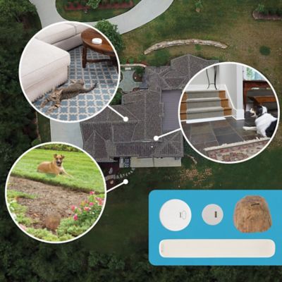 Image showing 7 th PetSafe Pawz Away Indoor Pet Barrier, Dog and Cat Home Proofing