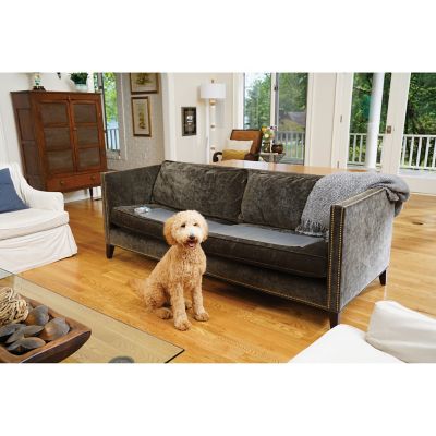 Petsafe Scatmat Sofa 60 In X 12 In Skm C471 At Tractor Supply Co