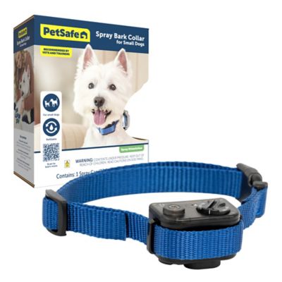 PetSafe Elite Little Dog Bark Control Dog Collar at Tractor Supply Co