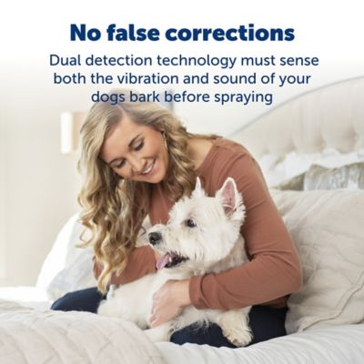 Image showing  Elite Little Dog Bark Control Dog Collar for Dogs 8 lb. and Up