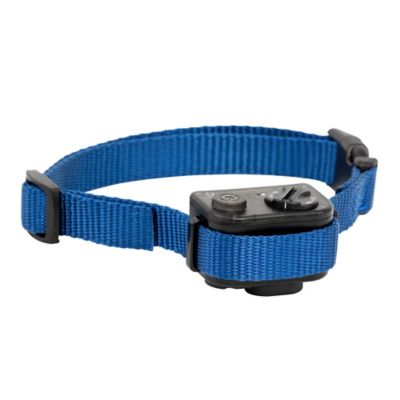 Image showing 7 th PetSafe Elite Little Dog Bark Control Dog Collar for Dogs 8 lb. and Up