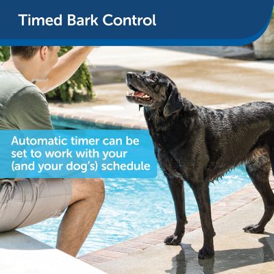 Image showing  1/4-Acre Operating Range Elite Outdoor Bark Control for All Dog Breeds