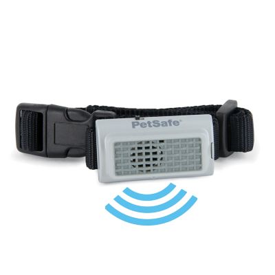 petsafe training collar