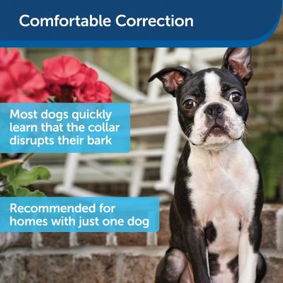 Image showing  Ultrasonic Bark Control Dog Collar for Large and Small Dogs 8 lb. or Larger with 28 in. or Smaller Necks