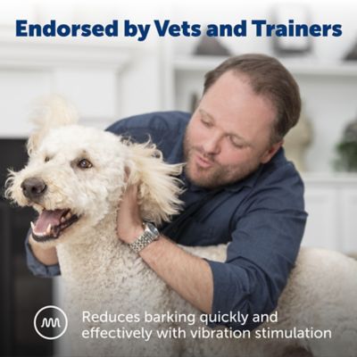 Image showing  Vibration Bark Control Dog Collar for Dogs with 28 in. Necks or Smaller