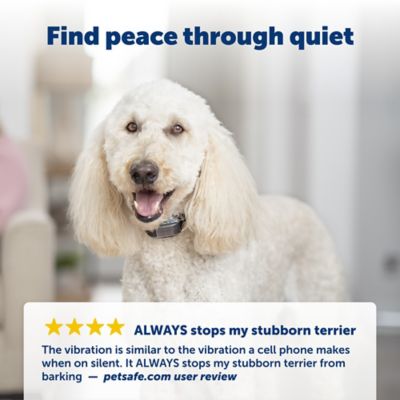 Image showing  Vibration Bark Control Dog Collar for Dogs with 28 in. Necks or Smaller