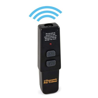 petsafe remote trainer