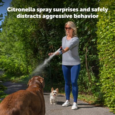 Image showing  SprayShield Animal Deterrent Spray, 2.4 oz.