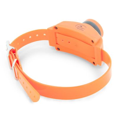 SportDOG Beeper Remote Dog Training Collar, 500 yd. Range