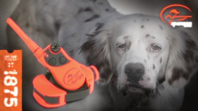 Image showing  UplandHunter 1875 Add-A-Dog Collar, for Dogs 8 lb. or Larger with Neck Sizes 5 to 22 in.