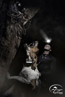 Image showing  HoundHunter 2525 ADD-A-DOG Training Collar, for Dogs 8 lb. or Larger, Neck Sizes 5 to 22 in.