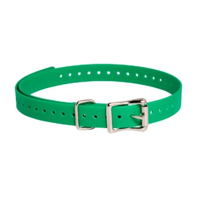 SportDOG 3/4 in. Dog Collar Strap