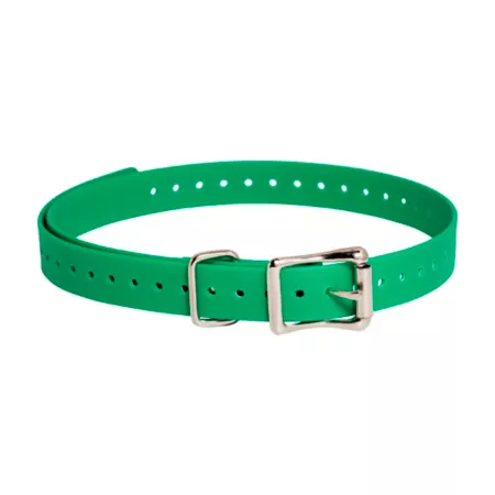 SportDOG 3/4 in Dog Collar Strap Dog Basic Collars