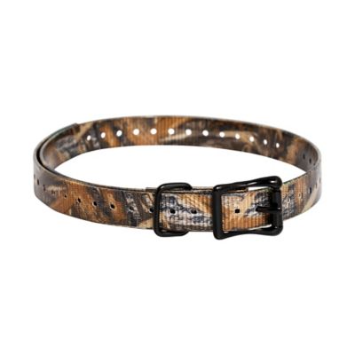 Image showing  Dog Collar Strap, 3/4 in.