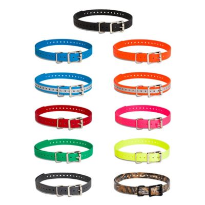 Image showing  Dog Collar Strap, 3/4 in.