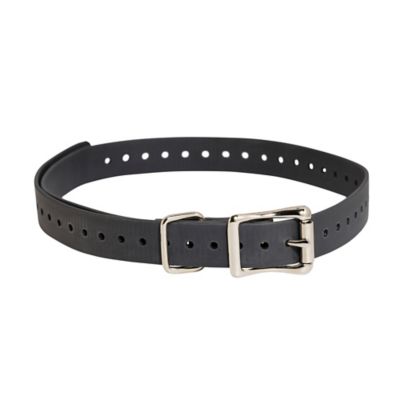 Image showing  Dog Collar Strap, 3/4 in.