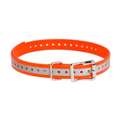 Leather Electric Collar Replacement or Alternative Strap for All Breeds