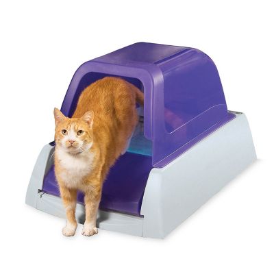 petsafe self cleaning litter box