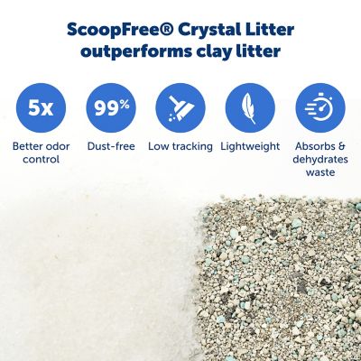 Image showing PetSafe Scoop-Free Disposable Crystal Cat Litter Tray, Sensitive, 1 ct.