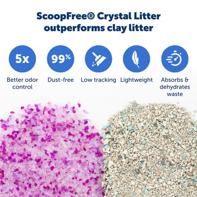 Image showing 4 th PetSafe Scoop-Free Litter Box Tray Refill with Lavender Crystals, 1 pk.