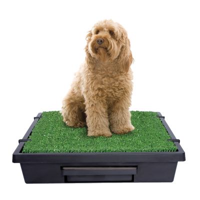 Image showing  Indoor Pet Loo Portable Pet Toilet