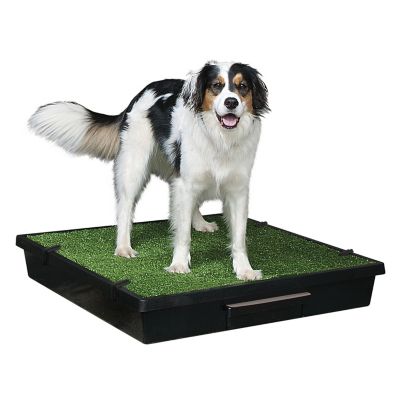 Image showing  Indoor Pet Loo Portable Pet Toilet