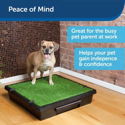 Image showing  Indoor Pet Loo Portable Pet Toilet