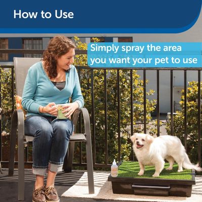 Image showing  Skip To My Loo House Potty Training Scent, 125 mL