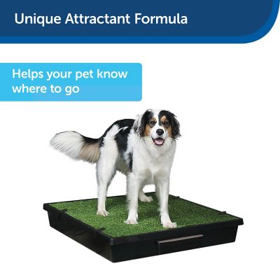 Image showing  Skip To My Loo House Potty Training Scent, 125 mL