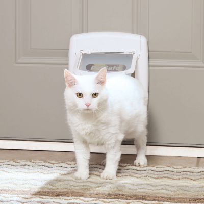 door with a cat door