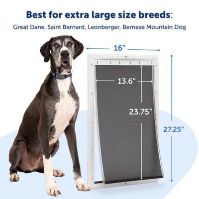 Image showing 5 th PetSafe Plastic Pet Door