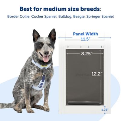 Image showing 5 th PetSafe Sliding Glass Pet Door, 1 pc., 96 in.